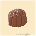 Chocolate Sea Shell