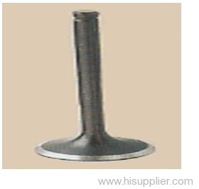 Engine valve