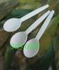 earth friendly PSM soup spoon