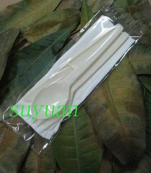 environmental cutlery kit with napkin