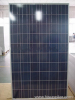 POLY SOLAR PANEL 220W