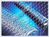 Galvanized Hexagonal Wire Netting