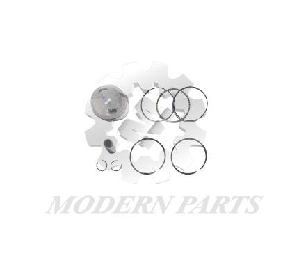 pin piston assy