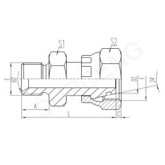 BSP MALE 60 SEAT OR BONDED SEAL