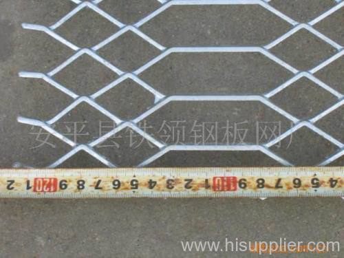 Special shape expanded metal mesh