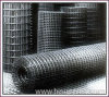 Galvanized Welded Wire Mesh