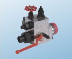 Accumulator Safety Valve Group