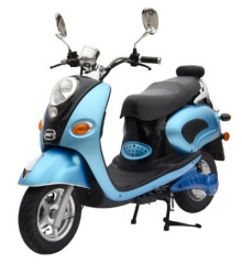 800W Electric Scooter