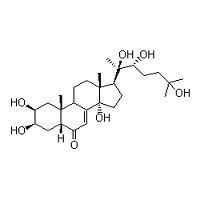 Ecdysterone