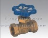 Brass Gate Valve