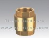 Brass spring check valve