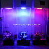 Patented LED Plant Grow Light