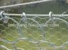 Galvanized hexagonal wire mesh