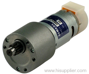 Linear gear motor