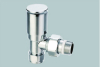 Home Radiator Valve