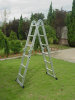 multi-purpose ladder LC103