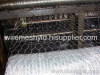 Electro-galvanized Hexagonal Wire Mesh