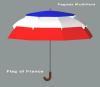 Pagoda MultiVent umbrella (Flag of France)