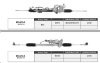 MAZDA Steering gear