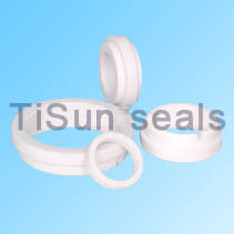 ceramic ring (Alumina seals ring )