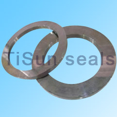 Tungsten Carbide Seal parts