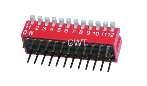 paino type DIP switch