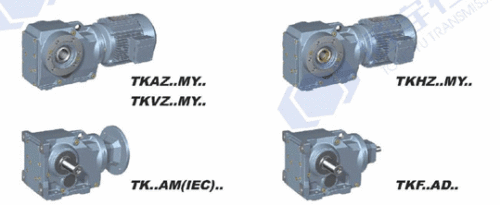 Helical-bevel Gear Motor