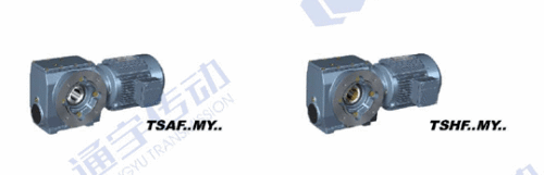 Helical-Worm Gear motor