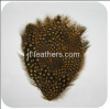 Feather Pad