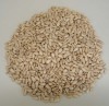 sunflower seed kernel