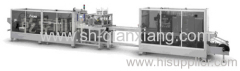 Blister Packing Machine Line