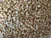 buckwheat kernel