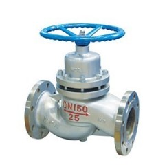 Plunger globe valve