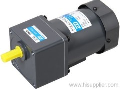AC Induction Gear Motor(Normal Type)