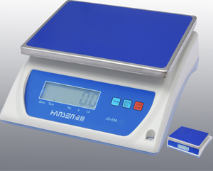 Electronic scale