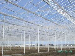 tempered greenhouse glass