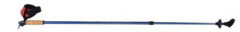 one section nordic walking stick