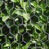 Hexagonal Wire Mesh Fences