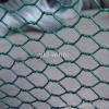 PVC Coated Hexagonal Wire Meshes