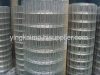 Welded Wire Mesh