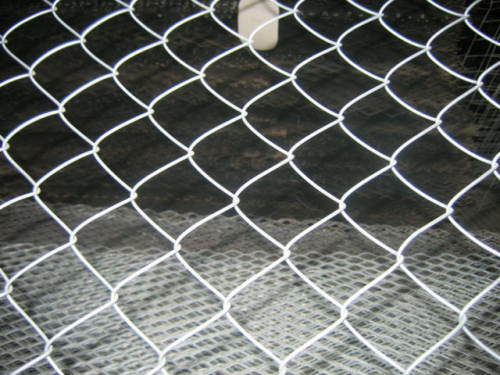 Chain Link Fence