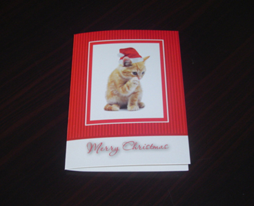 Christmas greeting card