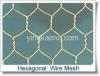 hexagonal wire netting