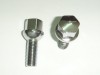 Wheel bolt