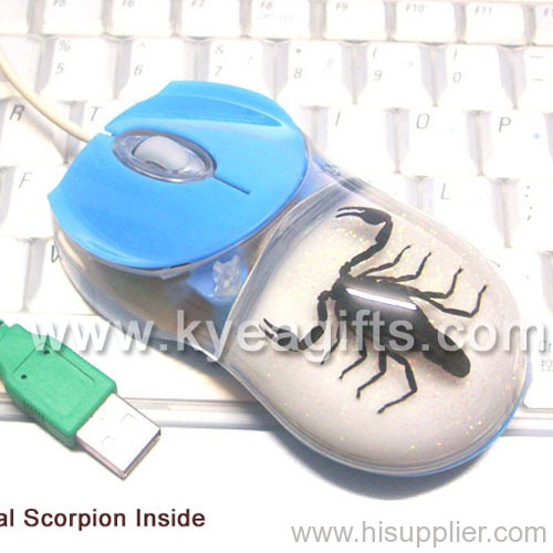 USB Optical Computer Mouse