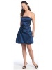 Blue Prom Dress 2010