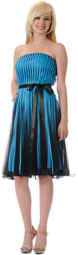 Prom Dress 2010