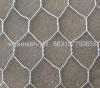 hexagonal wire mesh