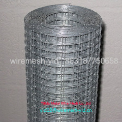 Galvanized Welded Wire Mesh Rolls