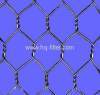 Galvanized Hexagonal Wire Mesh